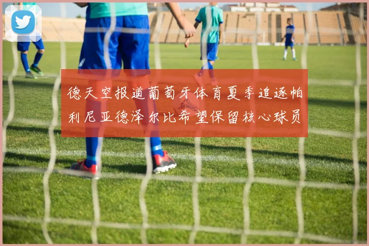 德天空报道葡萄牙体育夏季追逐帕利尼亚德泽尔比希望保留核心球员